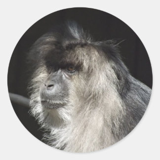 Lion-Tailed Macaque Portret Ronde Sticker