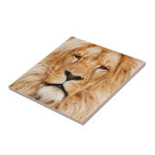 Lion Tegeltje (Zijkant)