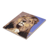 Lion Tegeltje (Zijkant)