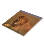 Lion Tegeltje (Zijkant)
