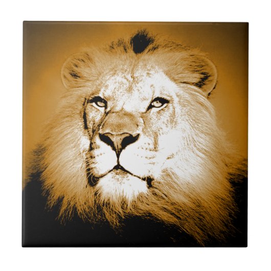 Lion Tegeltje (Voorkant)