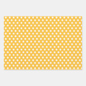 Lion Tiger Jungle Enveloppement Papier Ensemble de (Devant 2)