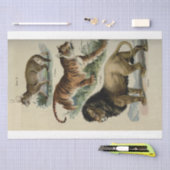 Lion Tiger Puma Ephemera Decoupage Tissuepapier (Craft)