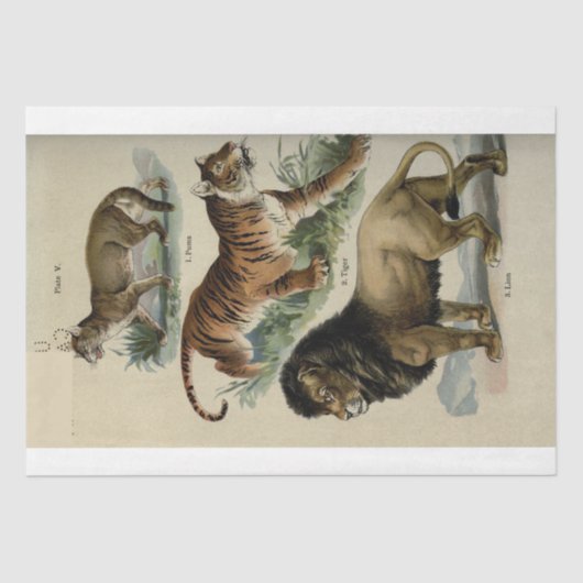 Lion Tiger Puma Ephemera Decoupage Tissuepapier (Voorkant)