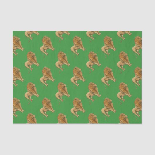 Lion Tissuepapier (Voorkant)