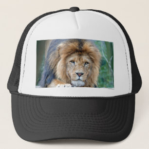 Lion Trucker Pet
