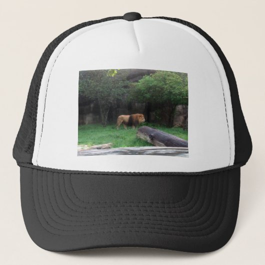 Lion Trucker Pet (Voorkant)