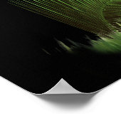 Lion van judah Poster (Hoek)