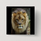 Lion Vierkante Button 5,1 Cm (Voorkant)