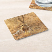 Lion Vierkante Kartonnen Onderzetter (Schuin)