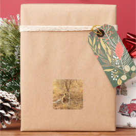 Lion Vierkante Sticker