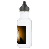 Lion Waterfles (Rechts)