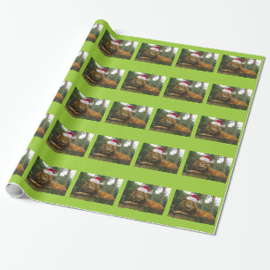 Lion Wearing Santa Hat voor Kerstmis Cadeaupapier