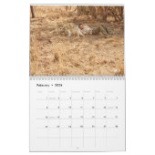 Lion Whisperer 2017 Agenda Kalender (Feb 2026)