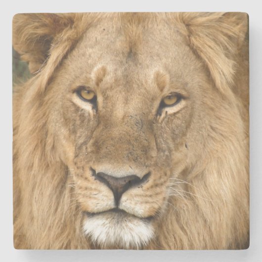 Lion With Great Mane Stenen Onderzetter (Voorkant)