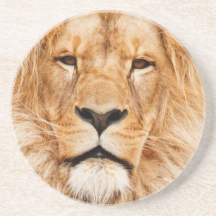 Lion Zandsteen Onderzetter
