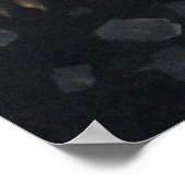 LIONATIE POSTER (Hoek)