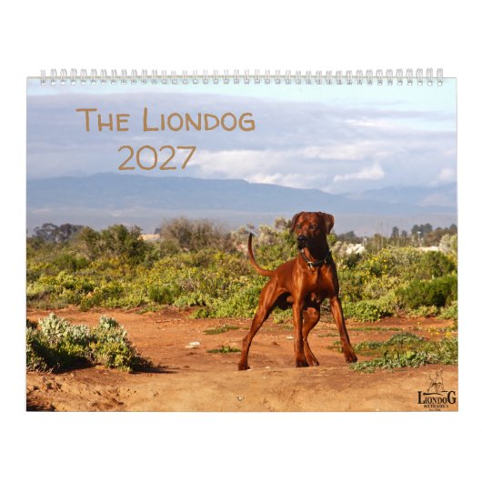 Liondog - Calendrier Rhodesian Ridgeback 2027 (Protection)