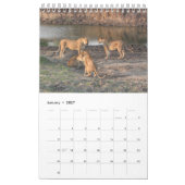 Lionen - Afrikaans pictogram Agenda 2014 (één pagi Kalender (Jan 2027)