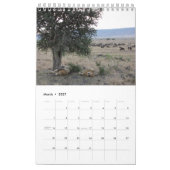 Lionen - Afrikaans pictogram Agenda 2014 (één pagi Kalender (Mar 2027)