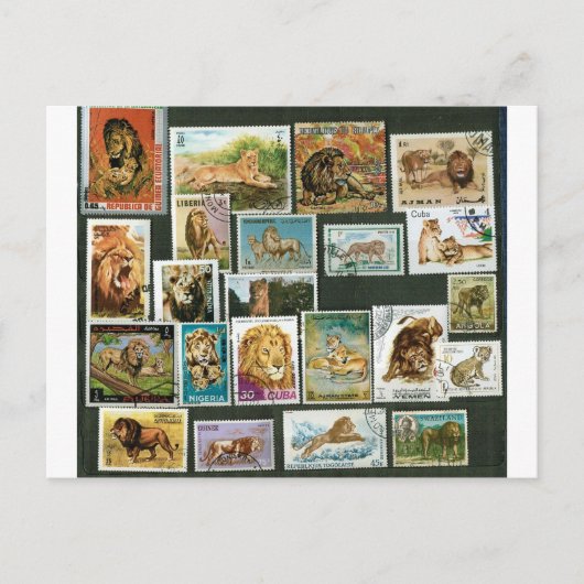 Lionen op postzegels briefkaart (Voorkant)