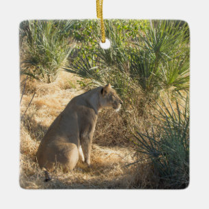 LIONESS 15 BOTSWANA KERAMISCH ORNAMENT