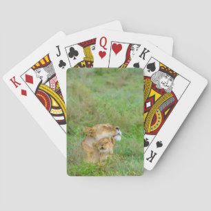 Lioness & Baby speelkaarten voor moeders