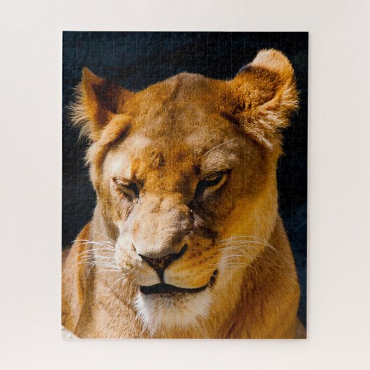 Lioness Big Cats. Legpuzzel (Verticaal)