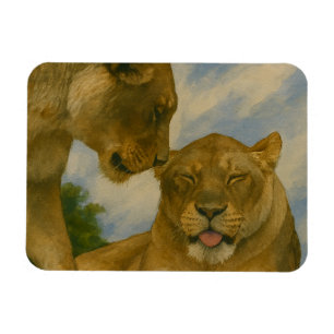 Lioness Companship in het Gouden Licht Magneet