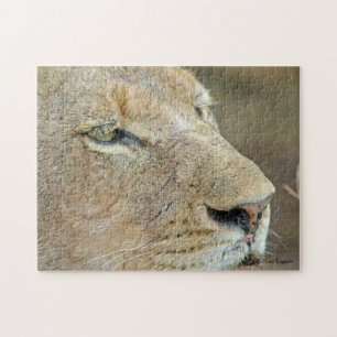 Lioness Face Legpuzzel