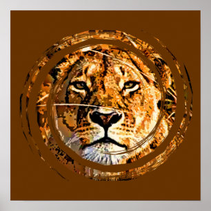LIONESS FACE-Poster Poster