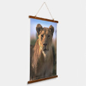 Lioness Lovers Hangend Wandkleed (Gebogen)