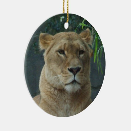 Lioness Ornament (Rechts)