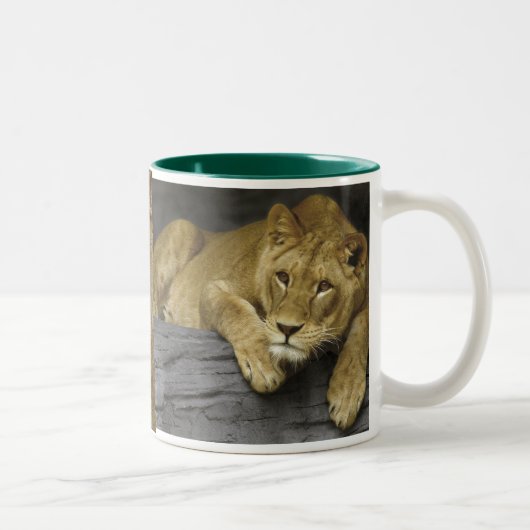 Lioness Photo Mug (Droit)