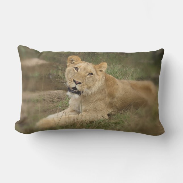 Lioness Pillow Kussen (Voorkant)