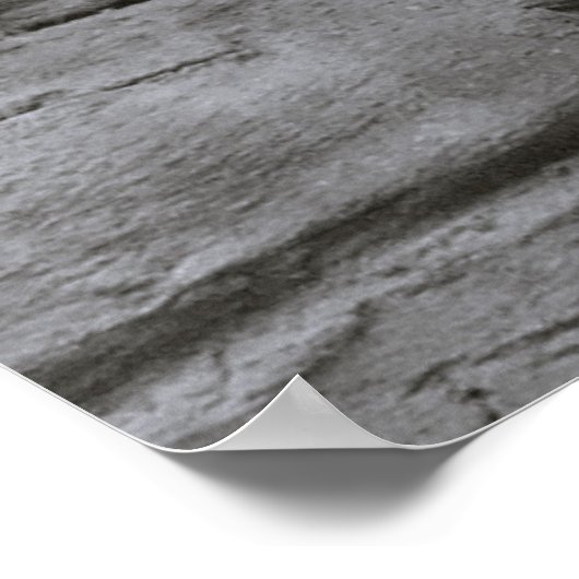 Lioness Poster (Hoek)