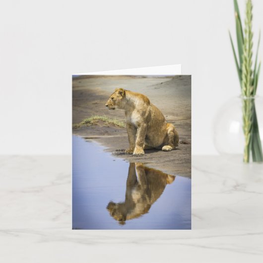 Lioness Reflection Note-kaarten Kaart (Voorkant)