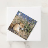 Lioness ruststing bedankjes labels (In situ)