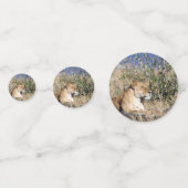 Lioness ruststing confetti (Voorkanten)