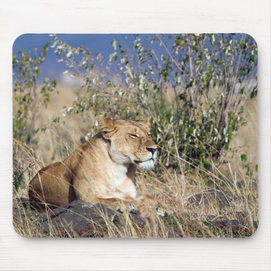 Lioness ruststing muismat (Voorkant)
