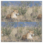 Lioness ruststing stof (Close Up)