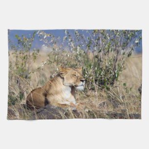 Lioness ruststing theedoek