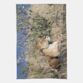 Lioness ruststing theedoek (Verticaal)