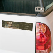 Lioness safari bumper sticker (Op Truck)