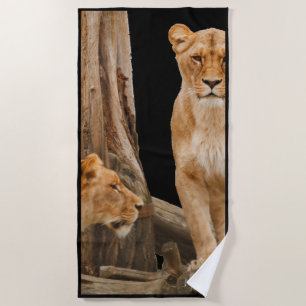 Lioness strandlaken