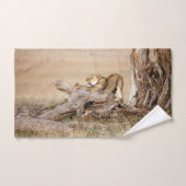 Lioness stretching (Serviette à main)