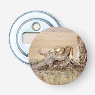 Lioness stretting button flesopener