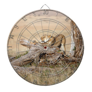 Lioness stretting dartbord