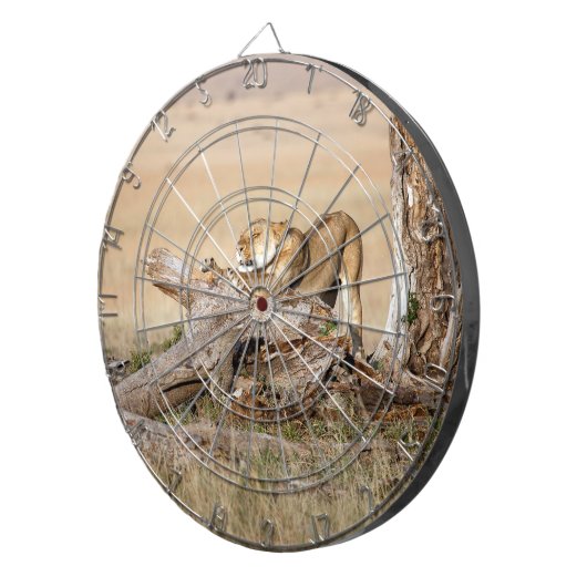 Lioness stretting dartbord (Voorkant Rechts)