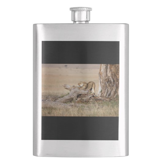 Lioness stretting flacon (Voorkant)